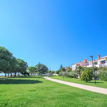 Petretic 1 Apartment